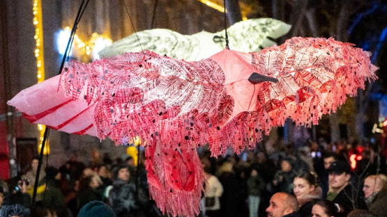 AVIGNON - LA GRANDE PARADE DU 6 DÉCEMBRE