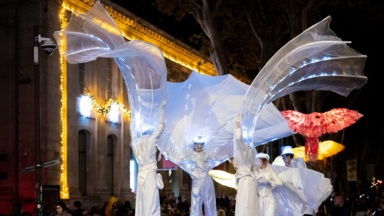 AVIGNON - LA GRANDE PARADE DU 6 DÉCEMBRE